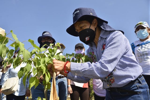 La Rectora Lilia Cedillo encabeza la reforestación del Memorial Covid – 19￼