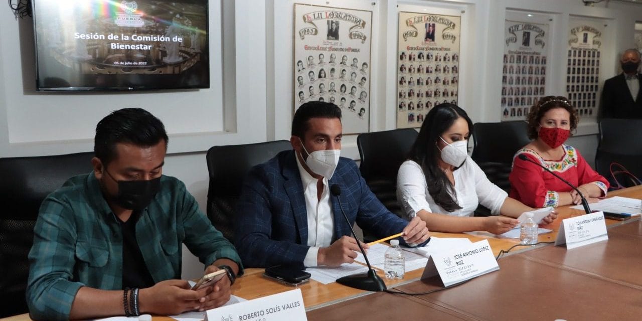 Avalan en Comisión de la LXI Legislatura reformas a la Ley de Desarrollo Social