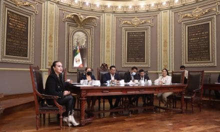 <strong>Presentan en el Congreso del Estado iniciativa para prohibir la venta de perros y gatos de criaderos</strong>