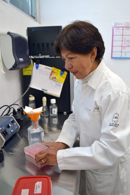 Ante la aparición de virus, como el de influenza aviar A H5N2, la Rectora Lilia Cedillo recomienda mantener calma y estar prevenidos