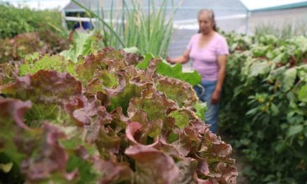 Alcanza Bienestar cobertura estatal a través del Programa Integral Alimentario 2024