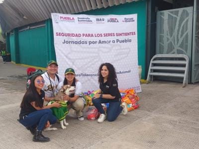 Instituto de Bienestar Animal participó en jornada «Safe por la Salud» de Pericos