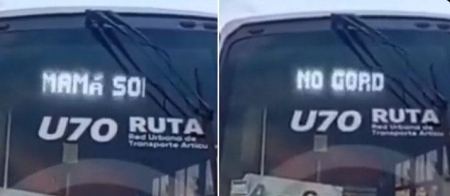 RUTA condena mensaje misógino en unidad de transporte y reafirma cero tolerancia a la violencia