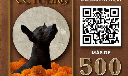 Presenta IMACP más de 500 actividades para octubre en la Agenda Cultural 