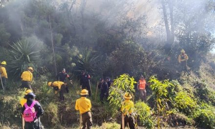 Incendio forestal consume 10 hectáreas de matorral en Chilchotla; Gobierno ya lo combate