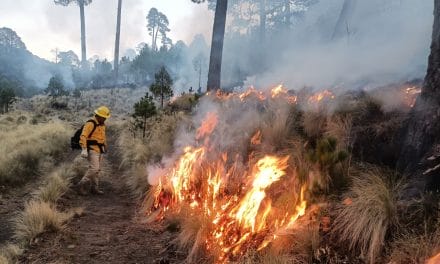 Mantiene Gobierno Estatal control de incendios forestales y protege ecosistemas