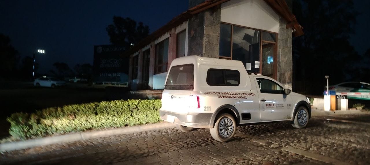 IBA atiende de manera inmediata, acto de crueldad en Haras del Bosque