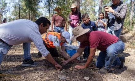 Refuerza gobierno de Pepe Chedraui acciones de reforestación en la capital poblana
